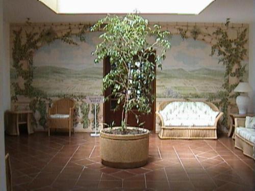 Hotel Alte Hotel 3*